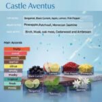 Castle Aventus (Inspired from Creed Aventus) - Image 2