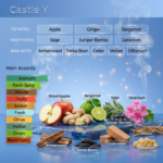 Castle Y (Inspired from YSL Y) - Image 2