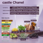 Castle Chanel (Inspired from Bleu De Chanel) - Image 2