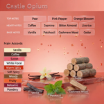 Castle Opium (YSL Black Opium) - Image 2