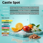 Castle Spot (Inspired from Chanel Allure Homme Sport) - Image 2