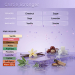 Castle Stronger - Image 2